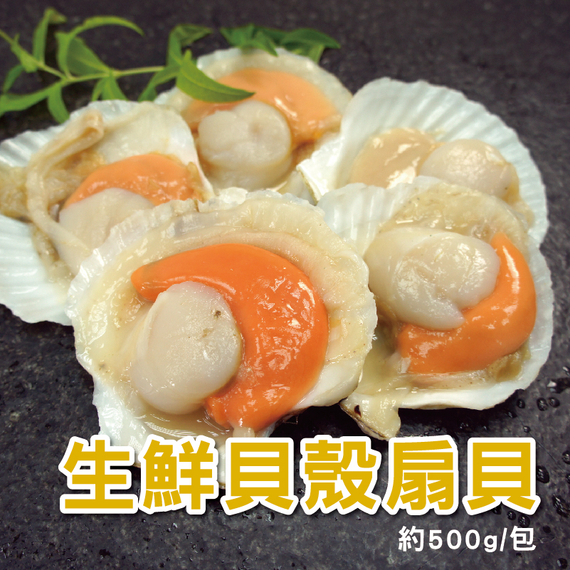 【築地一番鮮】生鮮半殼扇貝 (約500G/包)