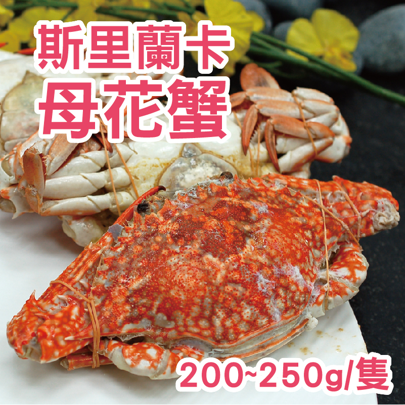 【築地一番鮮】斯里蘭卡母花蟹 (200~250G/隻)